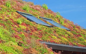 Morville Heath living roof systems